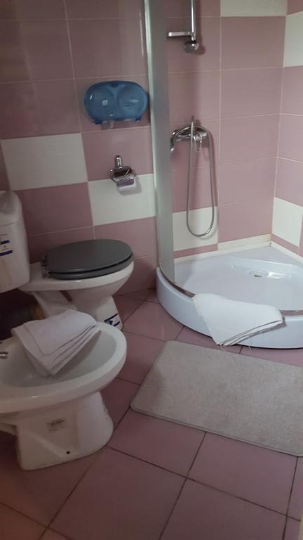 Pensiunea Valea Argesului Albestii Paminteni Εξωτερικό φωτογραφία