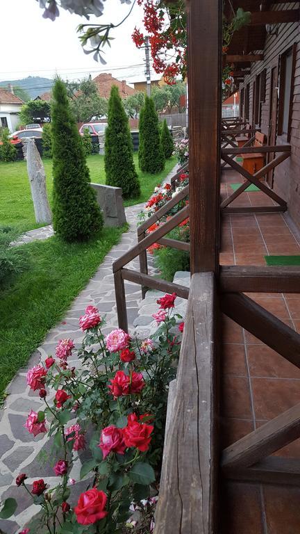 Pensiunea Valea Argesului Albestii Paminteni Εξωτερικό φωτογραφία