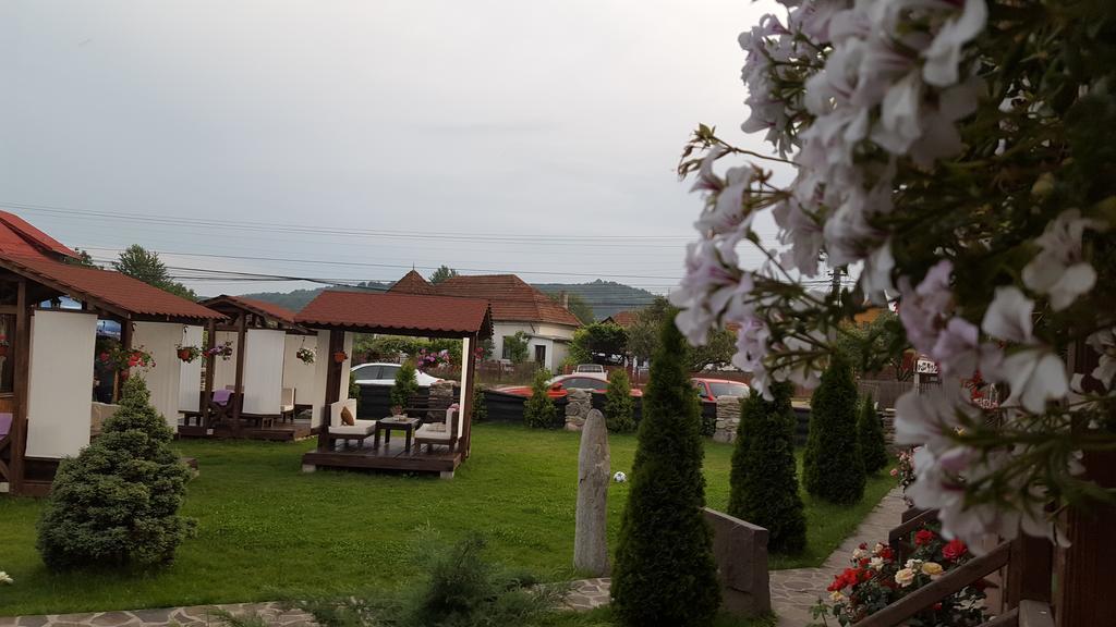 Pensiunea Valea Argesului Albestii Paminteni Εξωτερικό φωτογραφία