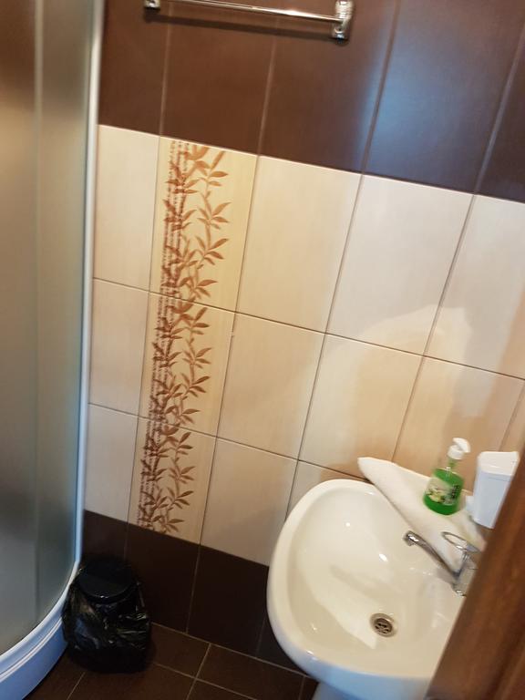 Pensiunea Valea Argesului Albestii Paminteni Εξωτερικό φωτογραφία