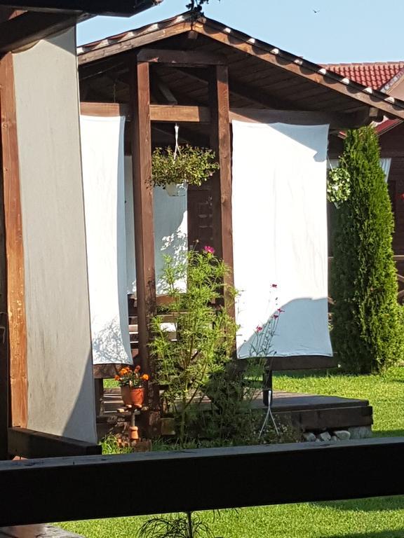 Pensiunea Valea Argesului Albestii Paminteni Εξωτερικό φωτογραφία