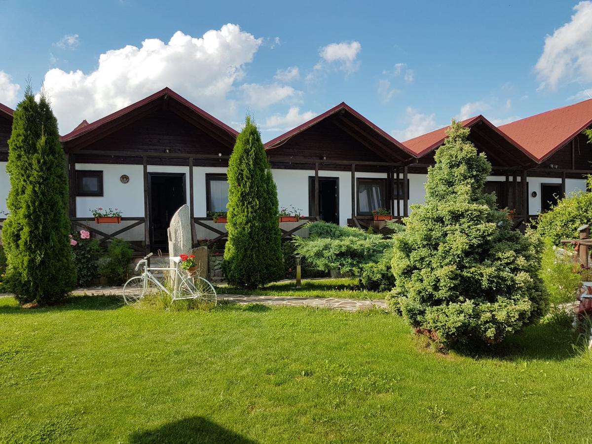 Pensiunea Valea Argesului Albestii Paminteni Εξωτερικό φωτογραφία